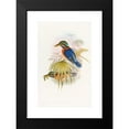 thumbnail image 2 of John Gould 13x18 Black Modern Framed Museum Art Print Titled - Sumatra Kingfisher (1850-1883), 2 of 5