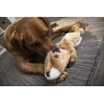 thumbnail image 4 of goDog Flatz Squirrel with Chew Guard Technology Durable Plush Squeaker Dog Toy, 4 of 10