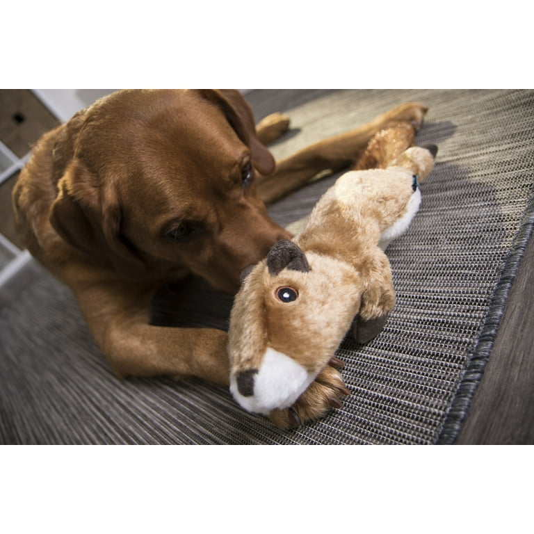 American classic clearance squirrel dog toy