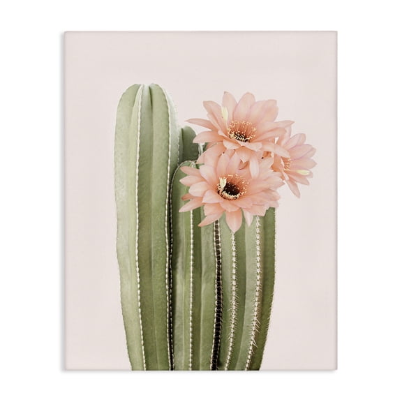 Stupell Industries Bohemian Pink Flower on Cactus Canvas Art, 24 x 30, by Sisi and Seb