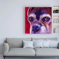 thumbnail image 3 of Trademark Fine Art 'Wallace' Canvas Art by DawgArt, 3 of 3