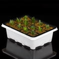 thumbnail image 3 of Seeding Box Holder,12 Cells Hole Seeds Planter Box Seeds Grow Box Tried and Trusted, 3 of 5