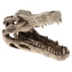 thumbnail image 1 of Cueva de Forma en apariencia de Arañas Acuarios Decoración Único Atractivo Yinane Adorno de dinosaurio de acuario, 1 of 8