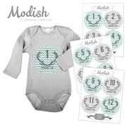 Monthly Baby Stickers, Boy, Antlers, Deer, Woodland, Teal, Gray, Baby Photo Prop, Baby Shower Gift, Baby Book Keepsake, Modish Labels