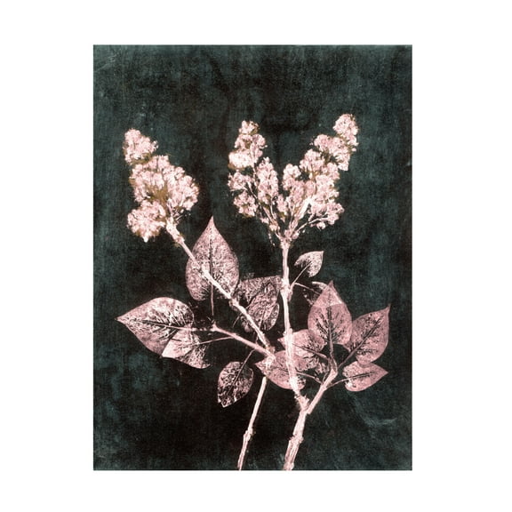 Canvas Wall Art - Pernille Folcarelli 'Lilac 1 Blush Dark Green' Wall Art for Living Room, Bedroom, or Office Décor by Trademark Fine Art - 14 x 19 Inches