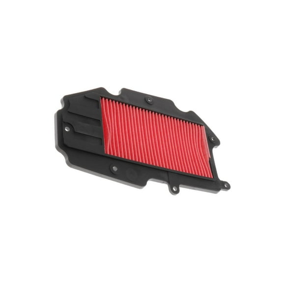 Shengyu Engine Protect Flow Filter for 4V 150cc KCC