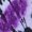 Purple, variant on SJLDQY Mens Long Sleeve Tshirts Tie Dye Graphic T-Shirts for Men Casual Crew Neck Loose Fit Soft Tops
