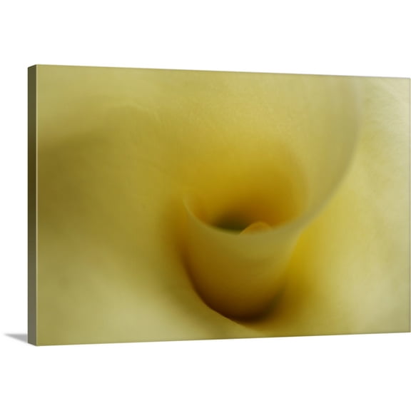 Great BIG Canvas | "Tender Moments II" Canvas Wall Art - 30x20