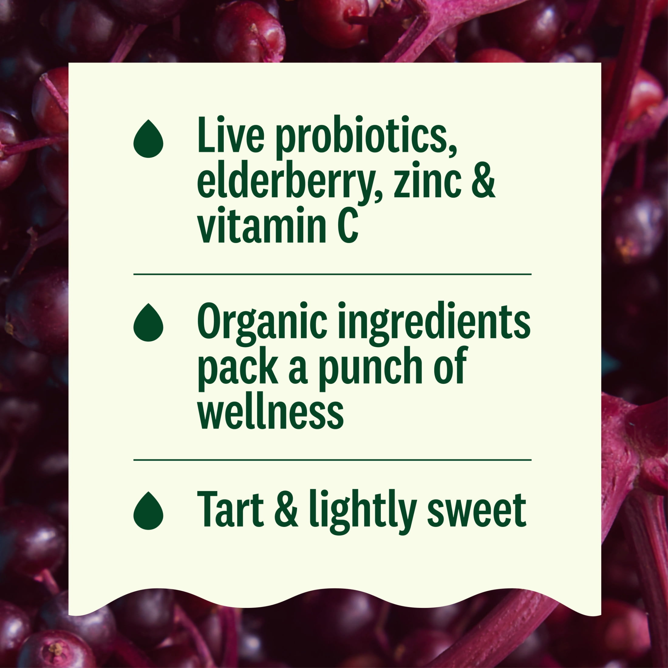 Suja Organic Immunity Elderberry Apple Shot, 1.7 fl oz Bottle