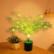 thumbnail image 5 of Luces LED de ramitas - Luz nocturna blanca cálida alimentada por USB • 30 LED • IP44 impermeable • Decoración artificial para plantas de 45-50cm, 5 of 6