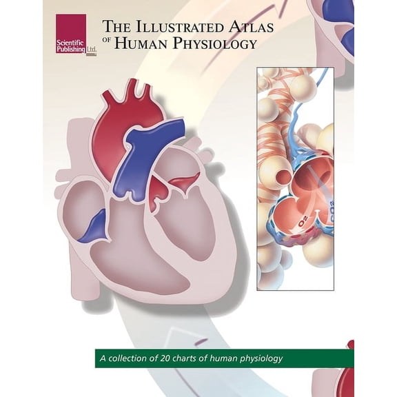 The Illustrated Atlas of Human Physiology (Paperback)