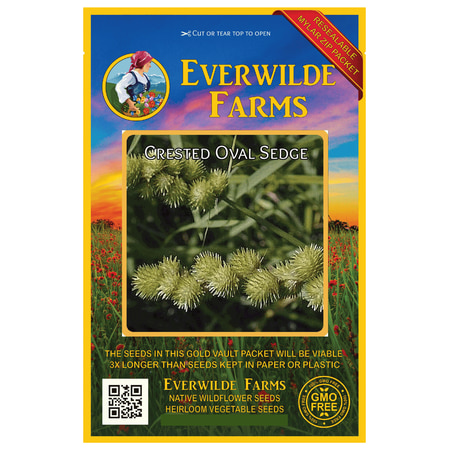 Everwilde Farms - 1000 Crested Oval Sedge Native Grass Seeds - Gold Vault Jumbo Bulk Seed Packet