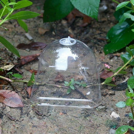 MEIBUTYUP Clear Plastic Plant Dome Cover for Heat Preservation and Portable and Easy to Carry for Home Gardening MEIBUTYUP Clear Plastic Plant Dome Cover for Heat Preservation and Portable and Easy to Carry for Home Gardening