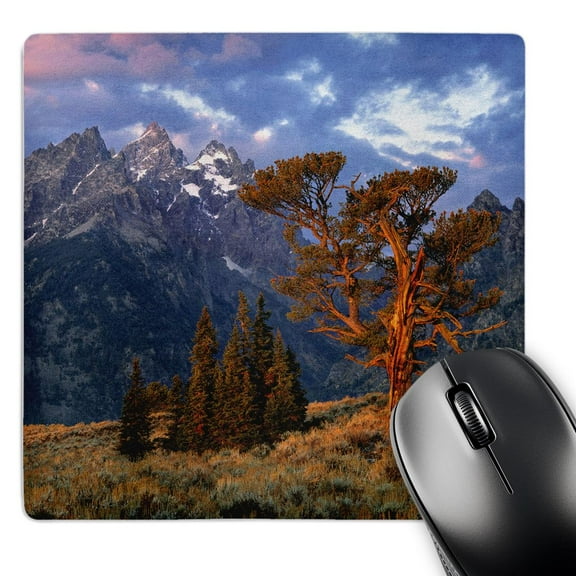 3dRose, USA, Wyoming, Grand Teton NP, Lone cedar tree - US51 RER0002 - Ric Ergenbright, MousePad