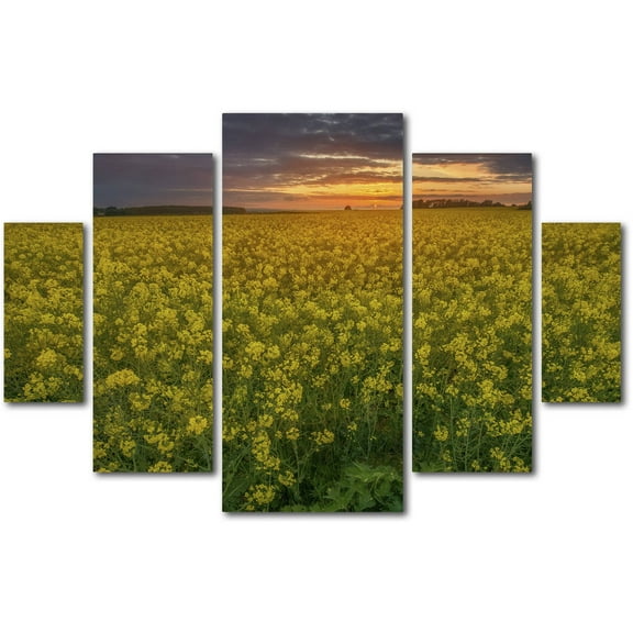 Trademark Fine Art "Yellow Planet" Canvas Art by Mathieu Rivrin 5-Panel Set