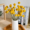 thumbnail image 5 of 120 piezas de flores secas de craspedia, flores secas en forma de bola, ramo de flores secas para arreglos de boda, decoración del hogar, 5 of 5