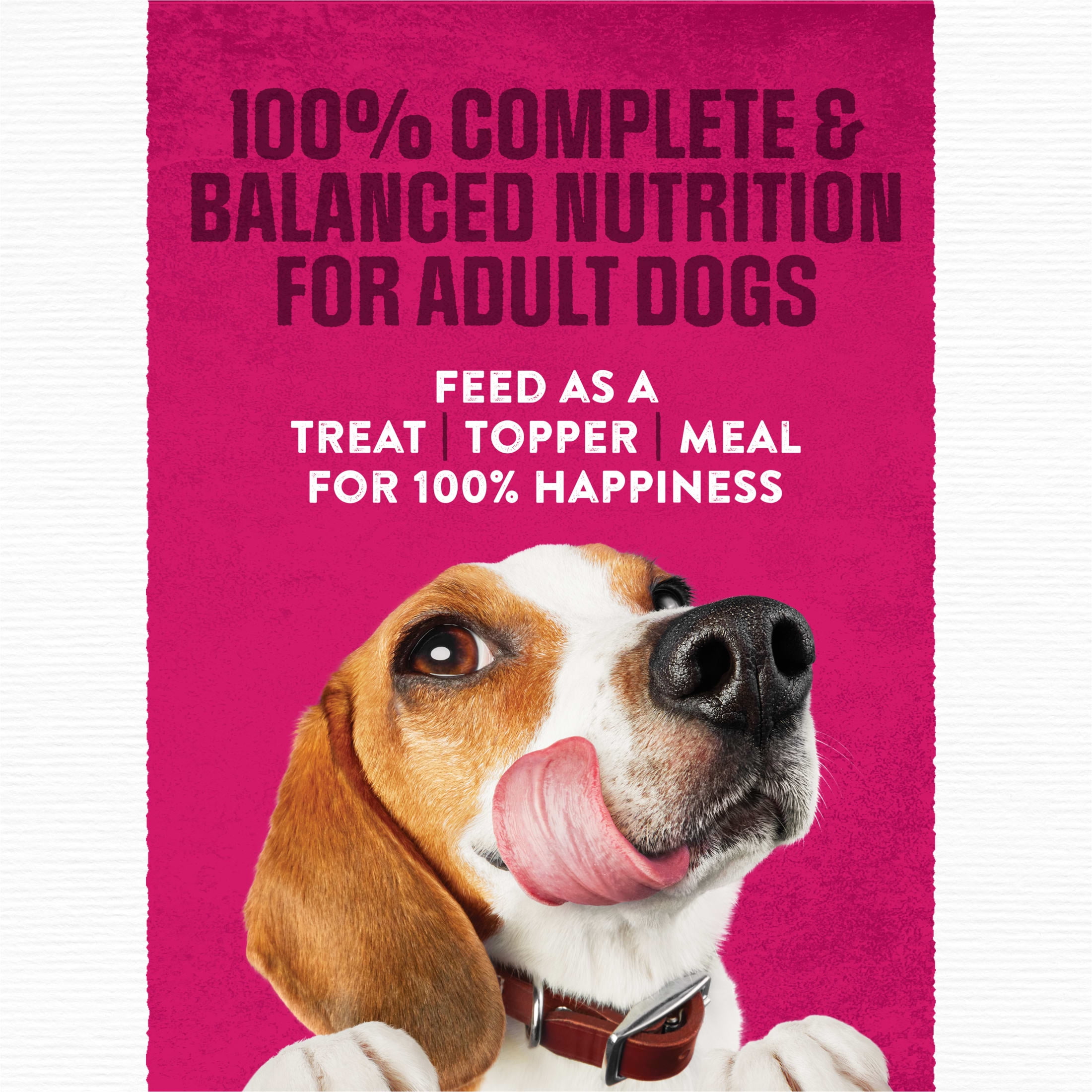 Purina Moist & Meaty Dry Dog Food, High Protein Steak Flavor with Real Beef, 6 oz Pouches (36 Pack)