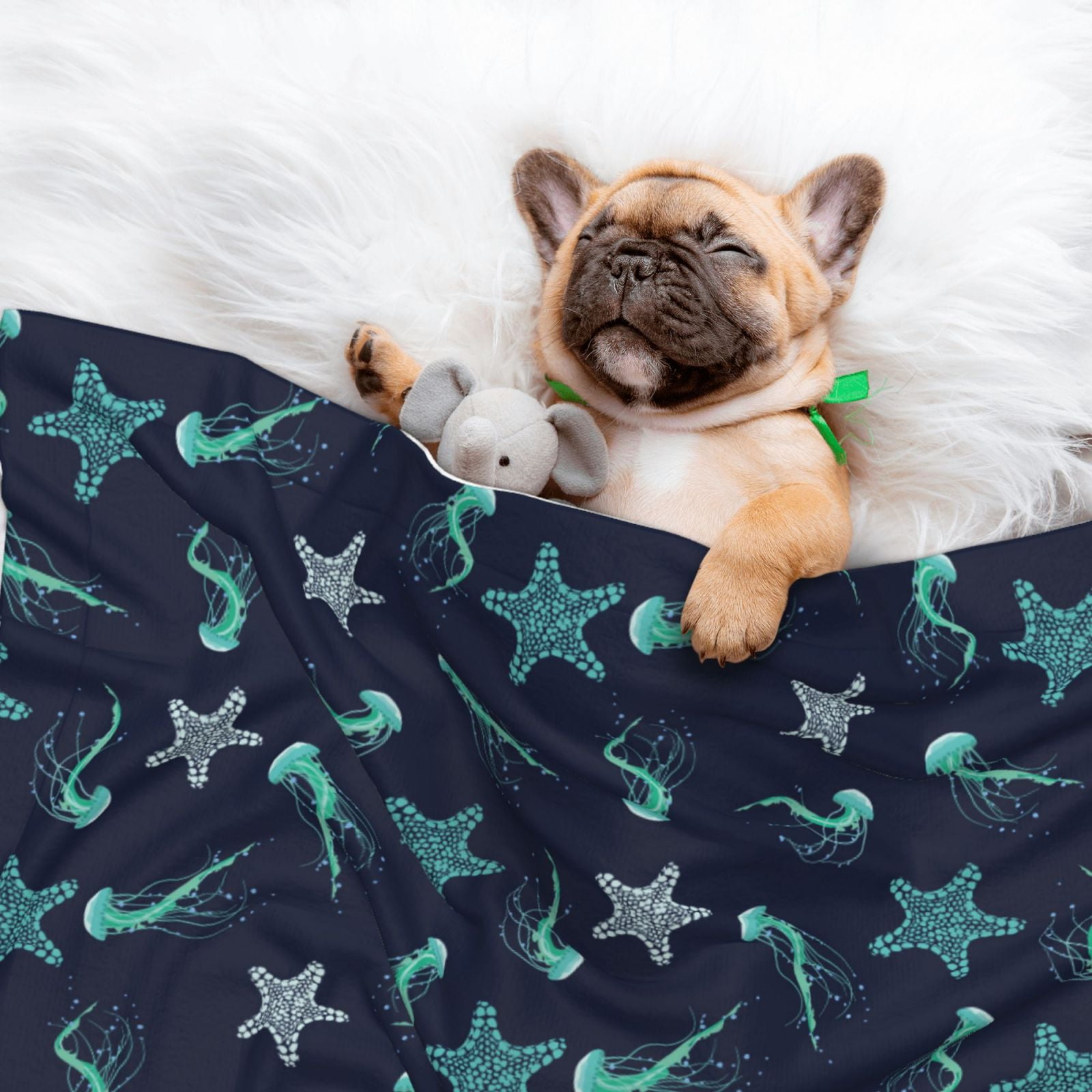 Naloa Ice Blue Starfish and Jellyfish Dog Blanket, 3 Sizes Cat Blanket for Indoor Cats Large Medium Small Dog Gifts-