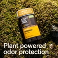 thumbnail image 4 of Every Man Jack Cedarwood Aluminum-Free Deodorant for Men, Naturally Derived, 3 oz, 4 of 11