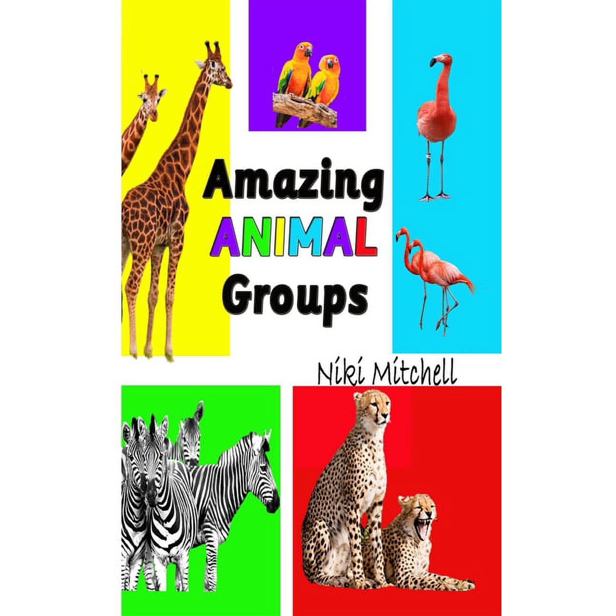 Amazing Animal Groups: A Fun Exploration of Nature LARGE PRINT: A Fun Exploration of Nature (Hardcover)