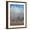 Brown Frame, variant on Art.com Cobalt Birches I Art Print by Tim OToole, Brown Frame Wall Art, 23" x 29"