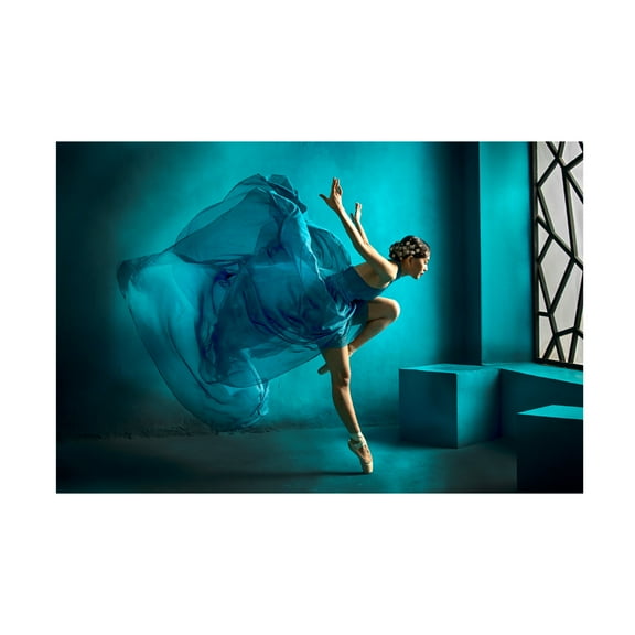 Trademark Fine Art Angela Muliani Hartojo Tinkerbell Canvas Wall Art