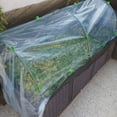 thumbnail image 1 of AURARMLET Mini Greenhouse Cover Windproof Heat Preservation 1Pack for Home, 1 of 5