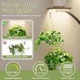 thumbnail image 3 of Plant Stand Indoor with Grow Lights - 2 Pack Corner Plant Shelf, 6 Tiered 47'' Indoor Plant Stands for Multiple Plants, K-Shaped Plant Rack Display Holder, Flower Stands for Living Room Patio Home, 3 of 9