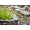 thumbnail image 2 of PondH2o Floating Aquatic Water Garden Pond Planter Basket, 10 Inch Round Fabric Floatable Flower Plant Pot Aquaponics, Hydroponics, 2 of 9