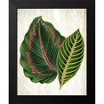 thumbnail image 2 of Allen, Kimberly 12x14 Black Modern Framed Museum Art Print Titled - Botanical Greens 3, 2 of 5