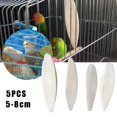 thumbnail image 2 of 5 Pcs/Ensemble Os de Seiche Seiche Nourriture pour Oiseaux Calcium Nouveau B4C9 g, 2 of 7
