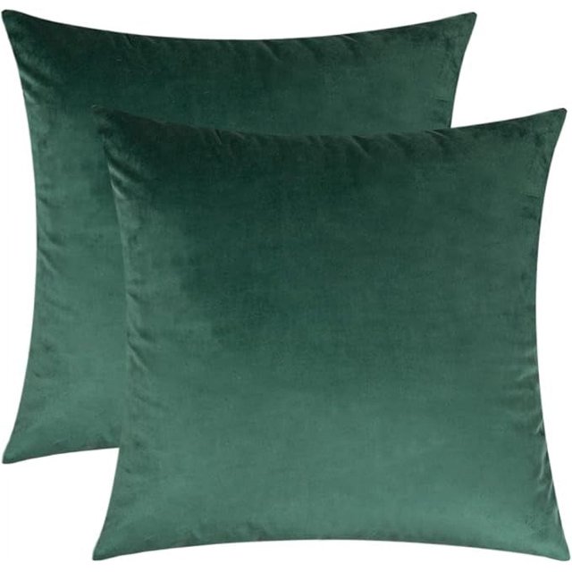 Cterwk - Juego de 2 fundas de cojín decorativas de terciopelo, suaves y cuadradas, para sala de estar, dormitorio y oficina, 55,8 x 55,8 cm