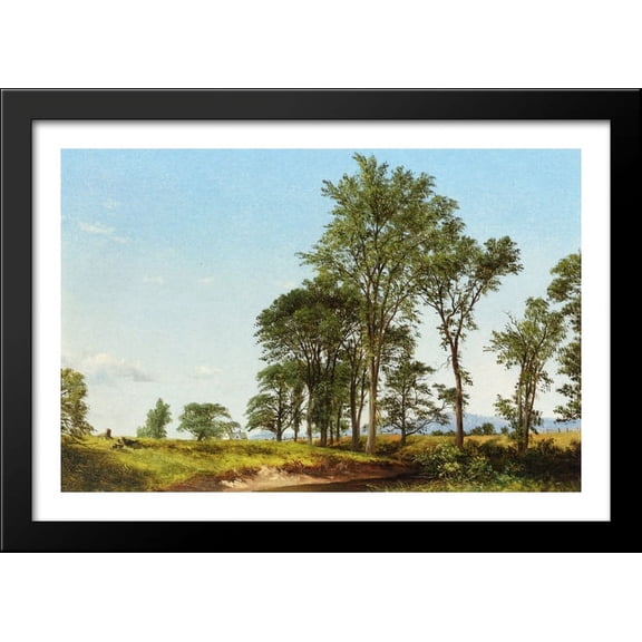 Young Elms 40x28 Large Black Wood Framed Print Art by David Johnson