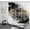 Black Gold, variant on Spooky Halloween Shower Curtain Decor, Gothic Horror Halloween Black and White Bats Shower Curtains 72X72 inch Polyester Fabric Bathroom Decoration Bath Curtains Hooks Included