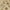 Ivory, variant on Radici Usa Como Area Rug 1835 Transitional Black Swirls Vines 3' 3" x 4' 11" Rectangle
