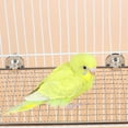 thumbnail image 2 of Stainless Steel Bird Perch Platform for Parrots Resting and Playing Bird Cage Accessories for Parakeets and Cockatoos, 2 of 8
