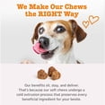 thumbnail image 6 of Zesty Paws Vet Strength Solid Poop Support Bites Chicken Flavor Dog Supplement, 90 Count, 6 of 9