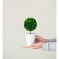 thumbnail image 5 of Mini Faux Topiaries, Cream Pot, Set of Two-Color:Green,Style:Botanical, 5 of 10