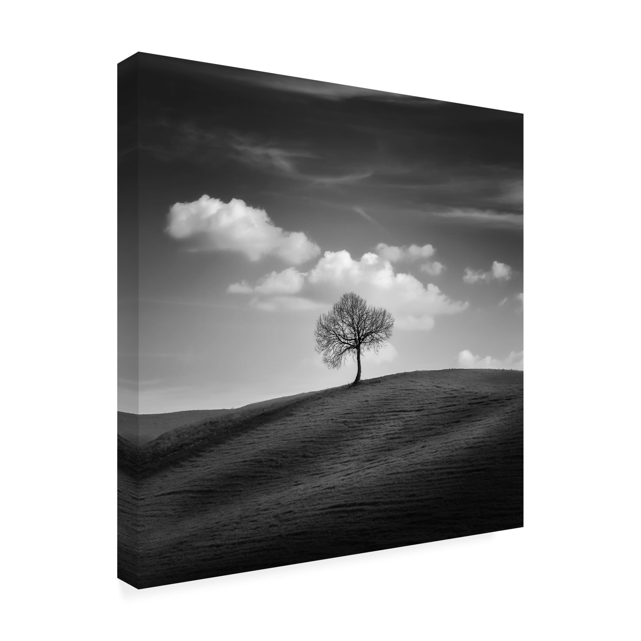 Trademark Fine Art Thomas de Franzoni Glory To The Brave Canvas Wall Art