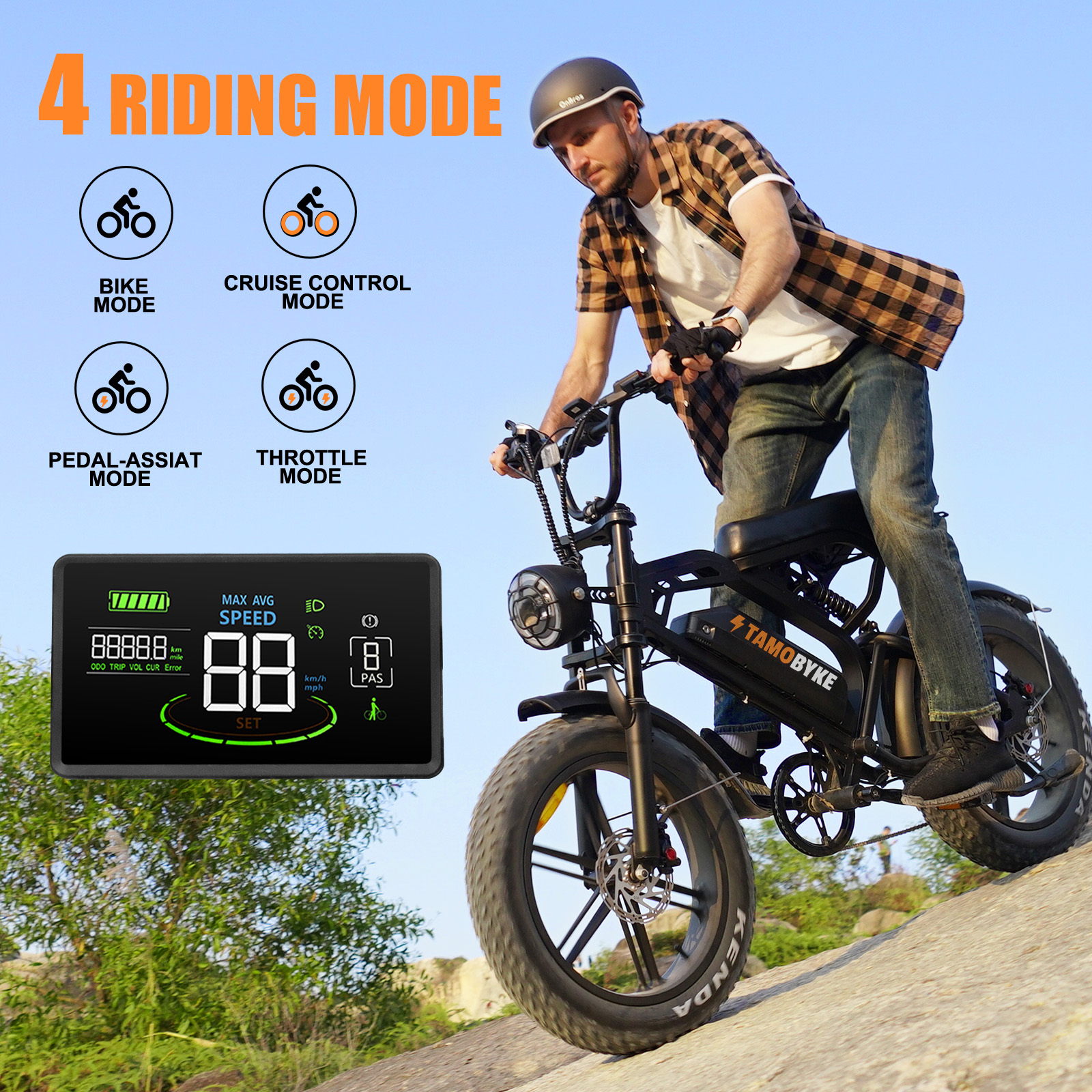 Tamobyke 750W Electric Bike for Adult, 28mph 48V/15Ah Removable Li-Ion Battery, 20" x4.0 Fat Tire Motorcycle Style E-bike for Commute/Work/Tough/Snow Road UL2849