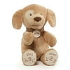 Baby Gund Gund Spunky ABC 123 doggie Animated Stuffed Animal Plush