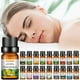 thumbnail image 1 of Aromaterapia Aceite Soluble En Agua Aromaterapia Adecuado Para Humidificador 10Ml, 1 of 3