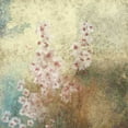 thumbnail image 2 of Novak, Rick 15x15 Gold Ornate Wood Framed with Double Matting Museum Art Print Titled - Cherry Blossom Abstract II, 2 of 4