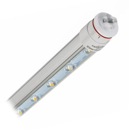

Keystone 01739 - KT-LED21T8-48P2S-865-D 4 Foot LED Straight T8 Tube Light Bulb for Replacing Fluorescents