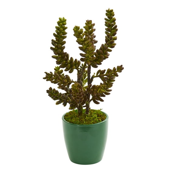 Nearly Natural Succulent Artificial Plant in Green Pot (Set of 2)