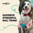 thumbnail image 2 of Lima para uñas de mascotas LUCKY TAIL recargable por USB, 2 velocidades, 2 of 6
