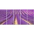 thumbnail image 2 of Beautiful Pattern of Blooming Lavender - Large Flower Canvas Wall Art, 2 of 3