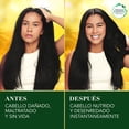 thumbnail image 4 of Acondicionador Herbal Essences Bio:Renew Pequi & Aguacate Nutre e Hidrata 250 ml, 4 of 5