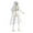 bride, variant on Clearance! EQWLJWE Halloween Skeletons 15.7 Inches Full Body Posable Joints Skeletons Bride Groom Skeleton for Halloween Decorations Haunted House Props