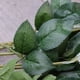 thumbnail image 3 of GOOHOCHY 10 piezas de flores artificiales de tallo largo, rosas de seda, ramo de flores para bodas, fiestas, decoración del hogar (blanco), 3 of 8